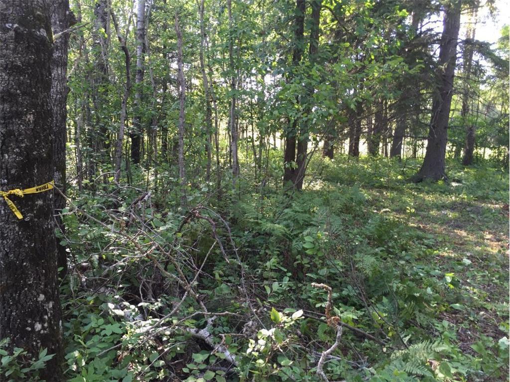 Sec: 2 TWP: 61.0 RG: 19 Lot: BLK: AC Alango Twp MN 55703 6711573 image13