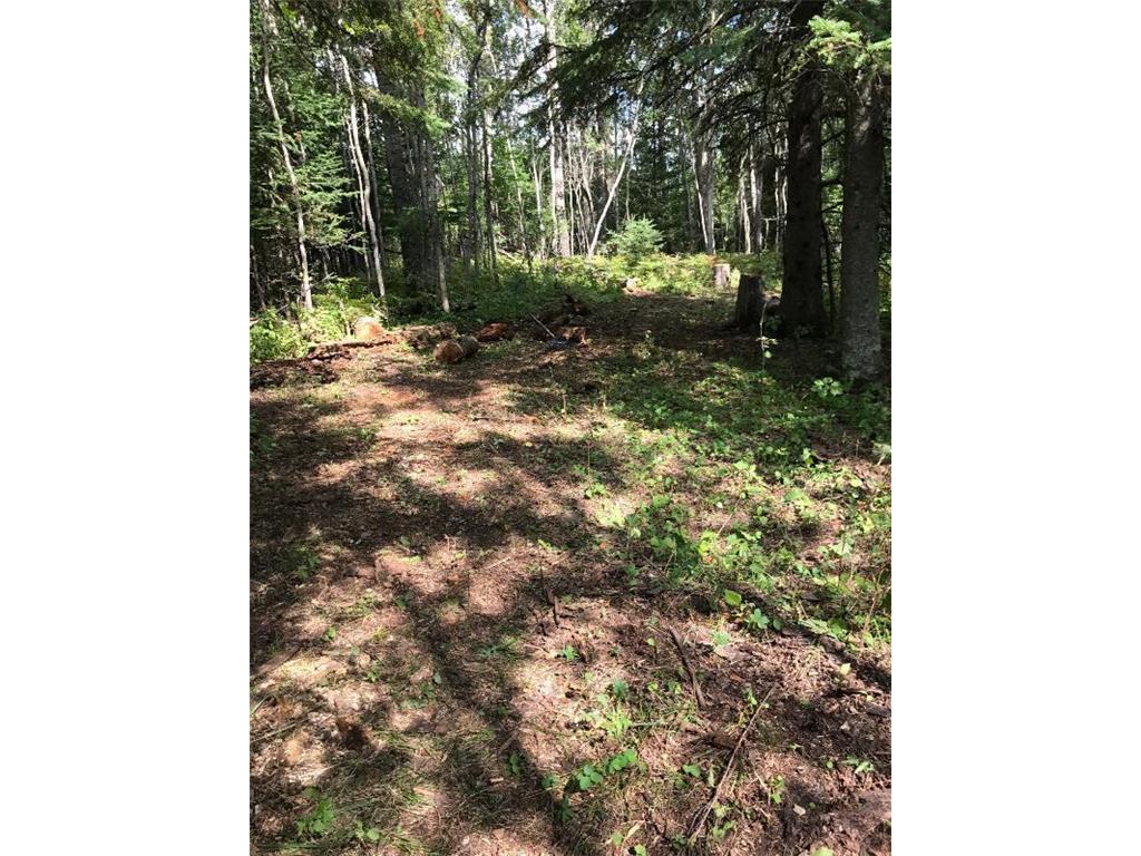 Sec: 2 TWP: 61.0 RG: 19 Lot: BLK: AC Alango Twp MN 55703 6711573 image14