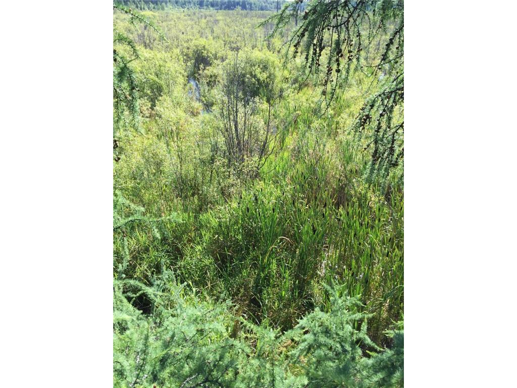 Sec: 2 TWP: 61.0 RG: 19 Lot: BLK: AC Alango Twp MN 55703 6711573 image15