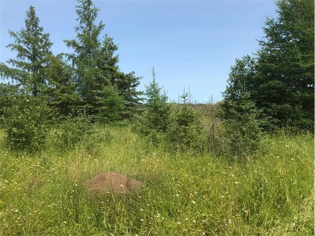 Sec: 2 TWP: 61.0 RG: 19 Lot: BLK: AC Alango Twp MN 55703 6711573 image18