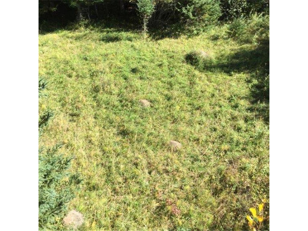 Sec: 2 TWP: 61.0 RG: 19 Lot: BLK: AC Alango Twp MN 55703 6711573 image19