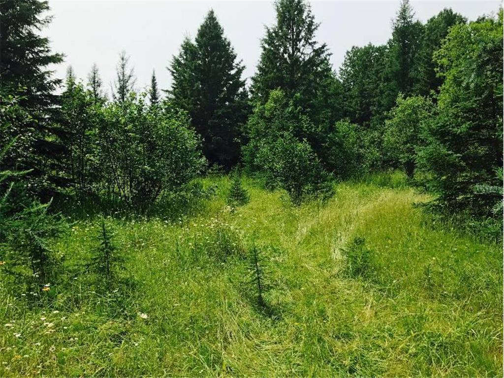 Sec: 2 TWP: 61.0 RG: 19 Lot: BLK: AC Alango Twp MN 55703 6711573 image20