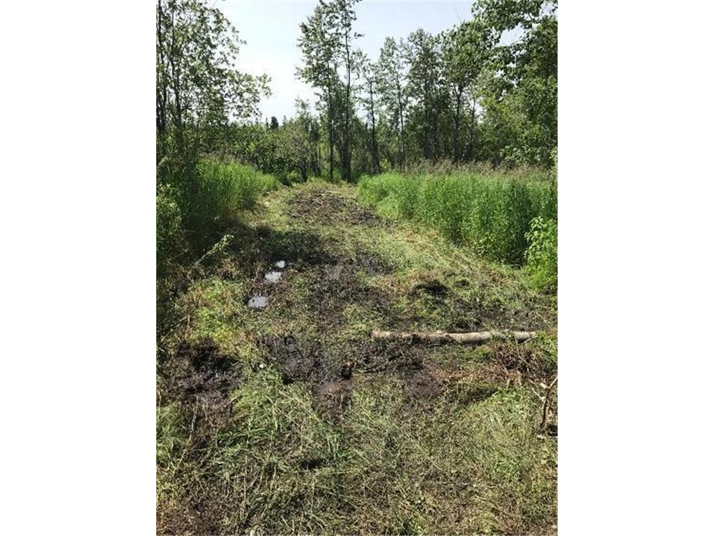 Sec: 2 TWP: 61.0 RG: 19 Lot: BLK: AC Alango Twp MN 55703 6711573 image22