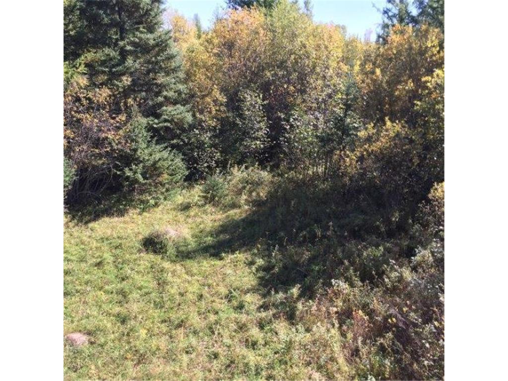 Sec: 2 TWP: 61.0 RG: 19 Lot: BLK: AC Alango Twp MN 55703 6711573 image23