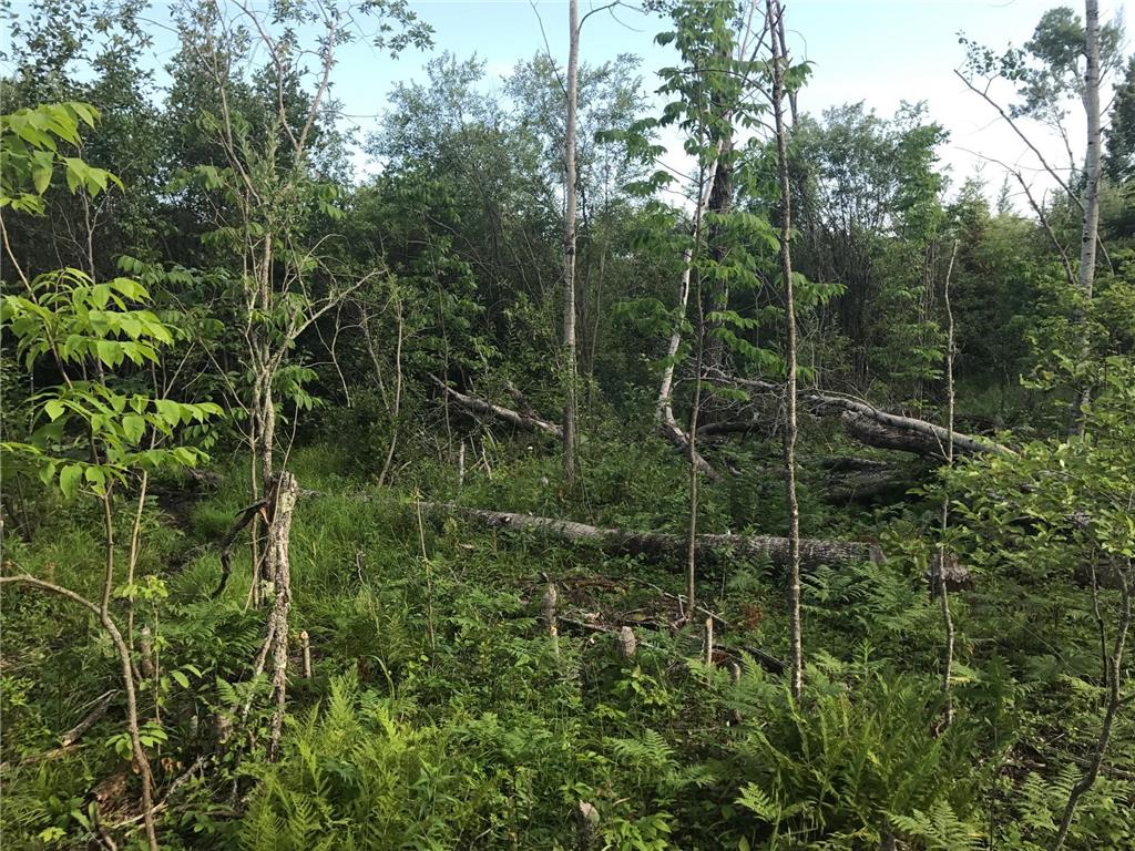 Sec: 2 TWP: 61.0 RG: 19 Lot: BLK: AC Alango Twp MN 55703 6711573 image5