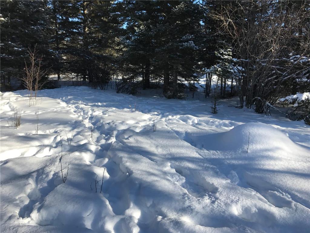 Sec: 2 TWP: 61.0 RG: 19 Lot: BLK: AC Alango Twp MN 55703 6711573 image7