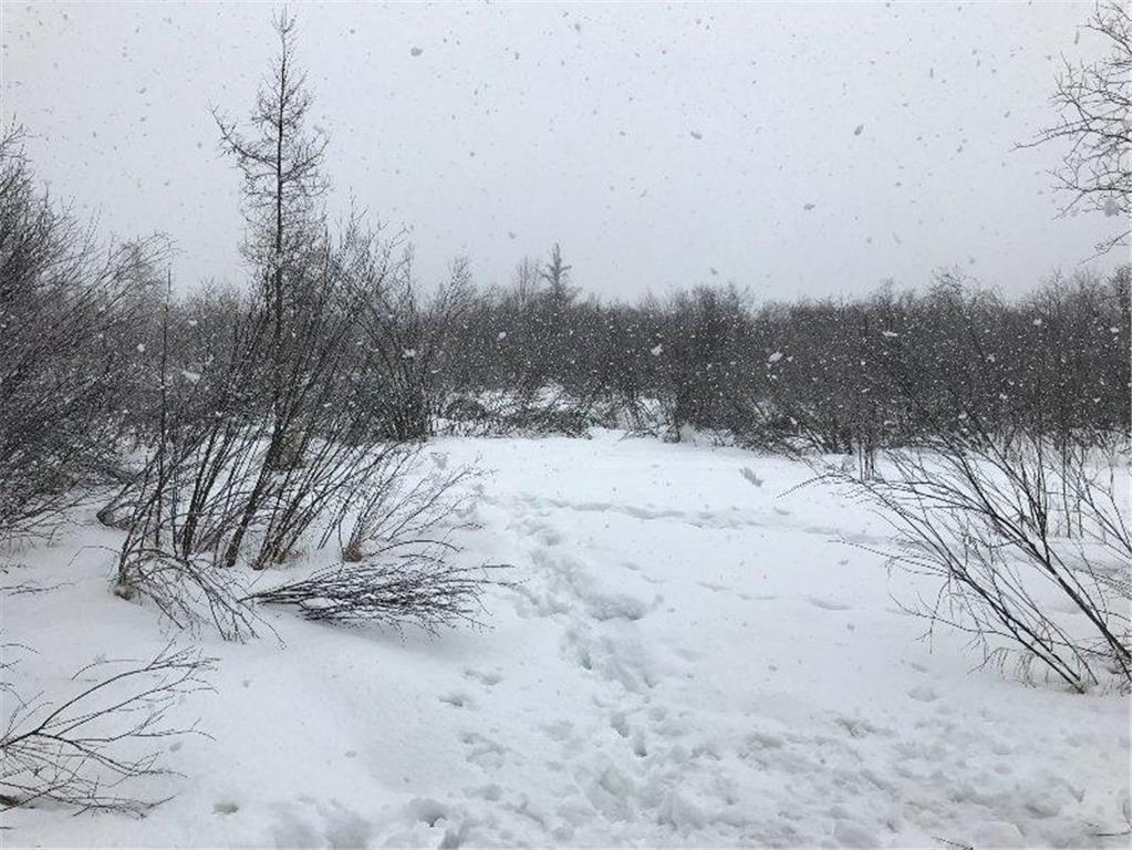 Sec: 2 TWP: 61.0 RG: 19 Lot: BLK: AC Alango Twp MN 55703 6711573 image9