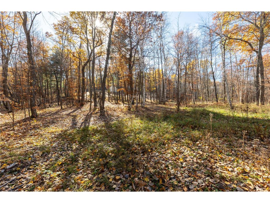 Ski Gull Ln SW Ski Gull Ln SW Fairview Twp MN 56468 6810670 image18