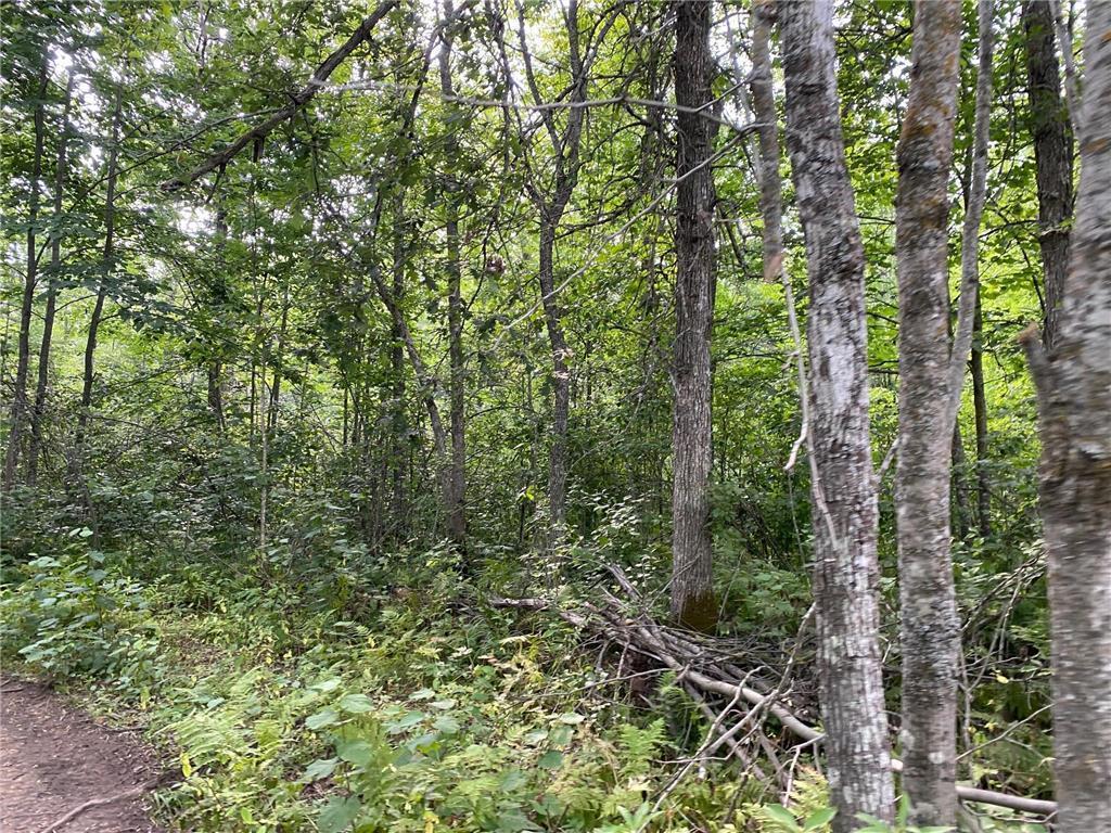 Split Rock Road Split Rock Road Split Rock Twp MN 55783 - Split Rock River 6794226 image7