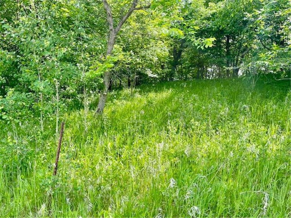 T134-R37 SEC.30 / HWY HWY 67 Deer Creek Twp MN 56551 - East Leaf Lake 6687043 image10