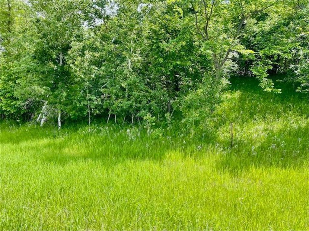 T134-R37 SEC.30 / HWY HWY 67 Deer Creek Twp MN 56551 - East Leaf Lake 6687043 image11