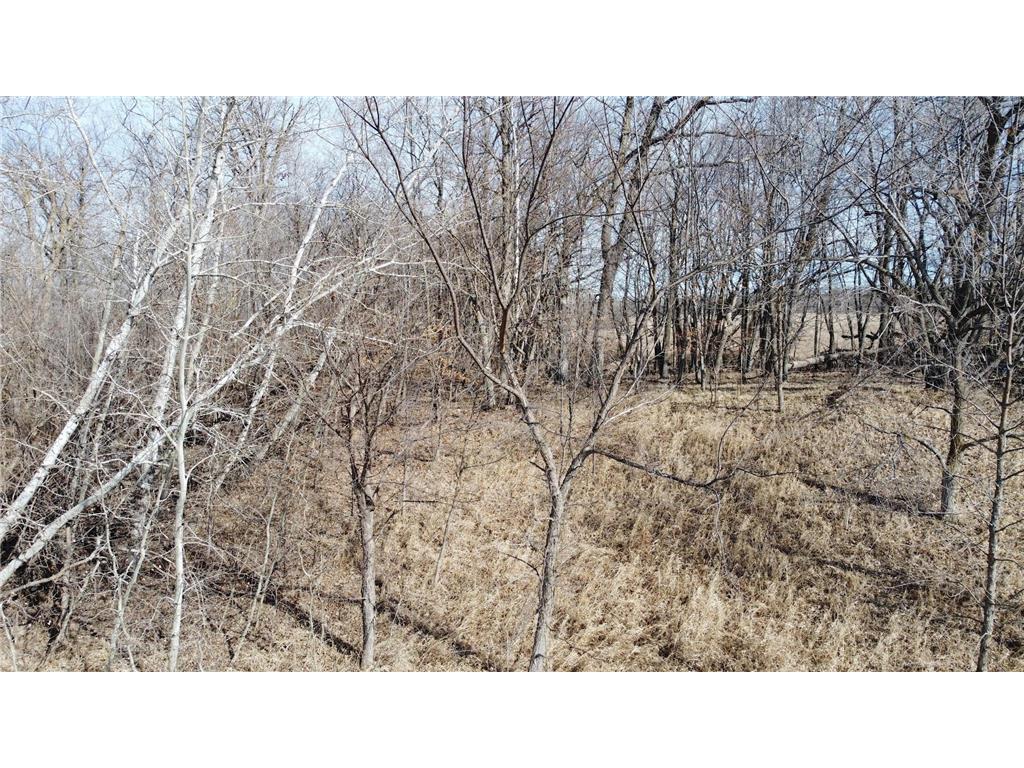 T134-R37 SEC.30 / HWY HWY 67 Deer Creek Twp MN 56551 - East Leaf Lake 6687043 image17