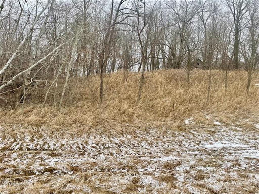 T134-R37 SEC.30 / HWY HWY 67 Deer Creek Twp MN 56551 - East Leaf Lake 6687043 image18