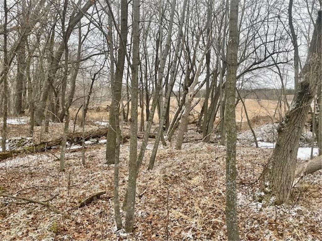 T134-R37 SEC.30 / HWY HWY 67 Deer Creek Twp MN 56551 - East Leaf Lake 6687043 image19