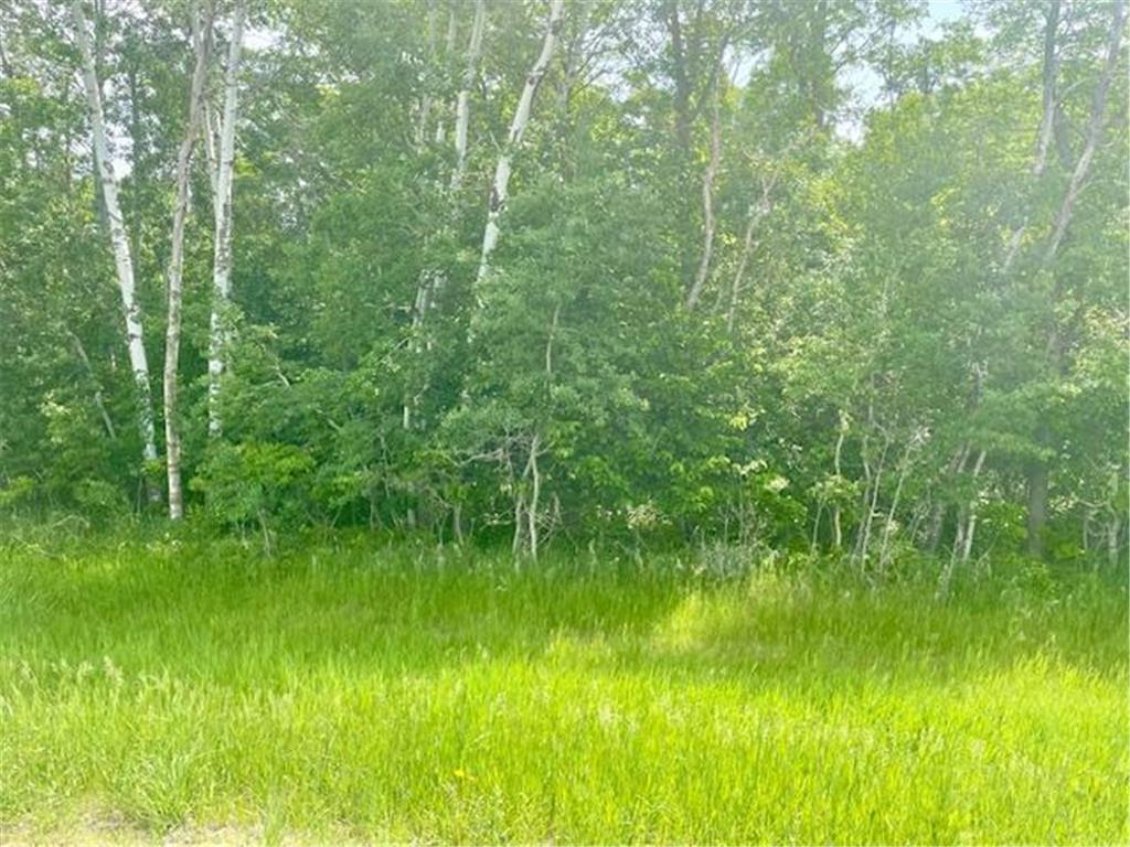 T134-R37 SEC.30 / HWY HWY 67 Deer Creek Twp MN 56551 - East Leaf Lake 6687043 image31