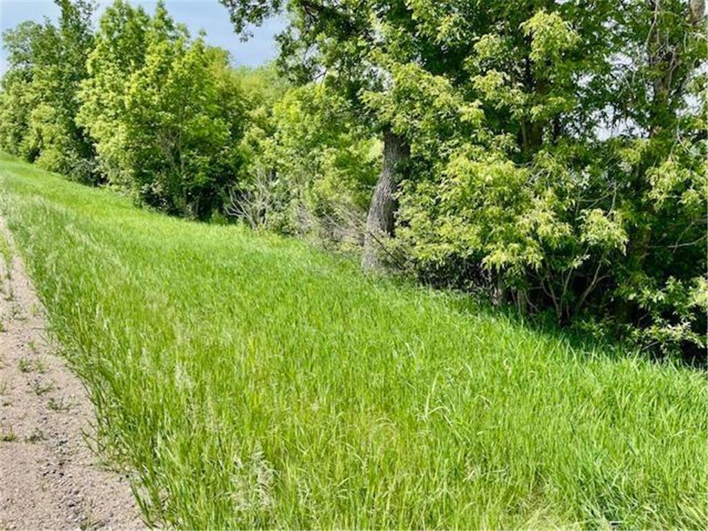 T134-R37 SEC.30 / HWY HWY 67 Deer Creek Twp MN 56551 - East Leaf Lake 6687043 image33