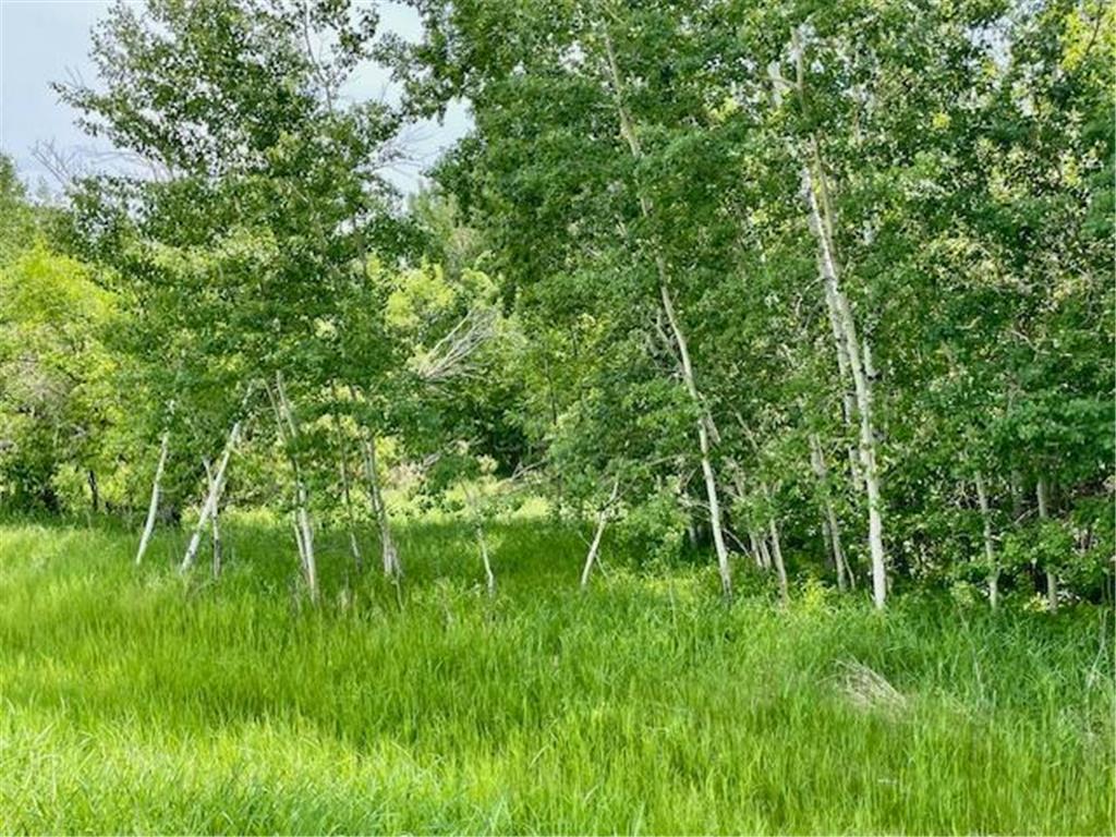 T134-R37 SEC.30 / HWY HWY 67 Deer Creek Twp MN 56551 - East Leaf Lake 6687043 image4