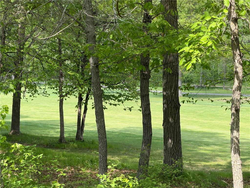TB County Road 16 Ideal Twp MN 56472 7082144 image1