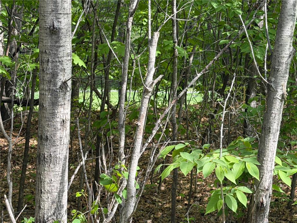 TB County Road 16 Ideal Twp MN 56472 7082144 image10