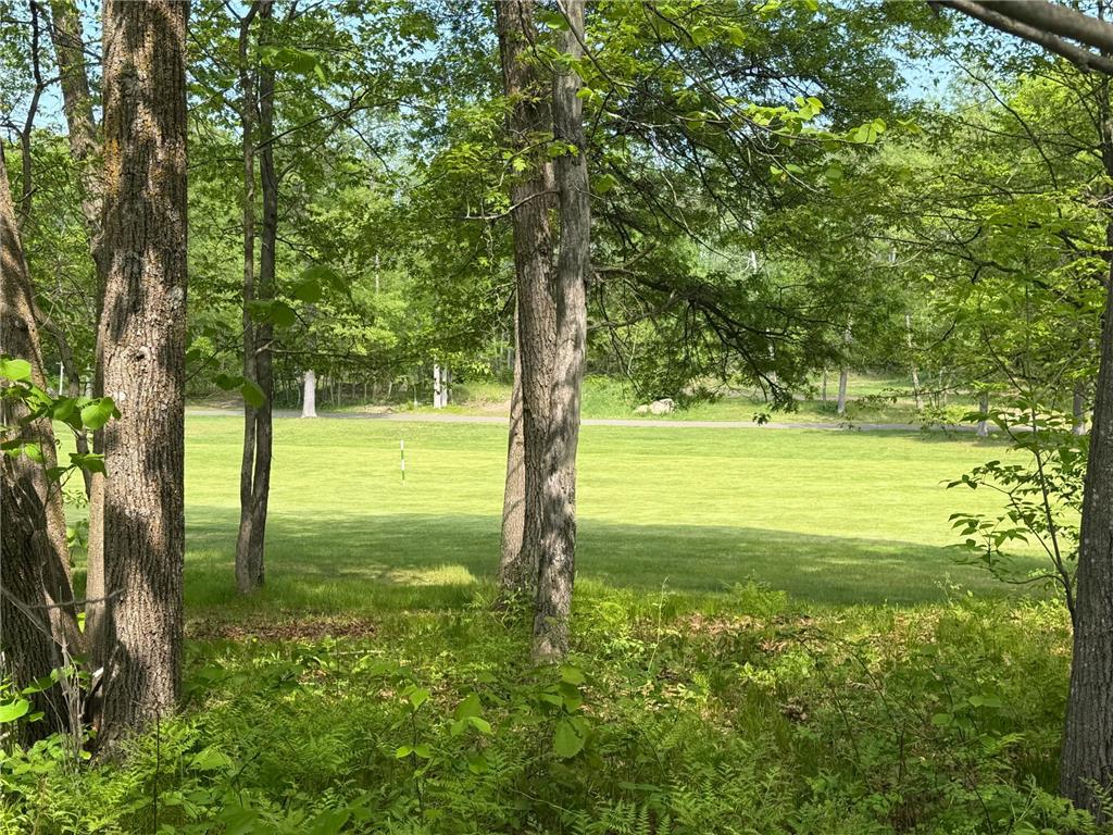TB County Road 16 Ideal Twp MN 56472 7082144 image2