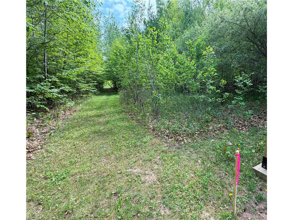 TB County Road 16 Ideal Twp MN 56472 7082144 image8