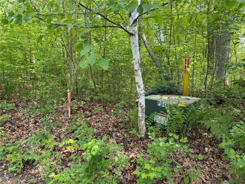 TB County Road 16 Ideal Twp MN 56472 7082144 image9