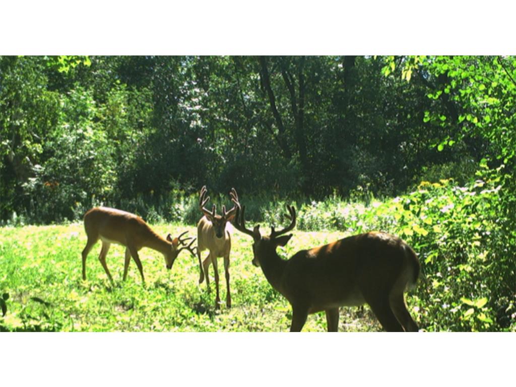 TBA 230th Street Baldwin Twp WI 54002 6826005 image13