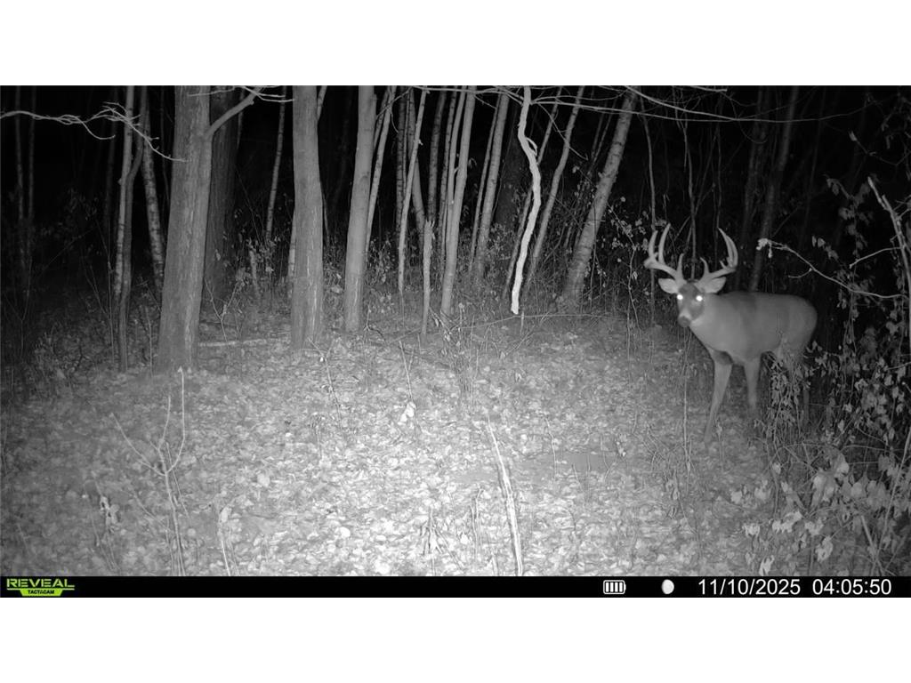 TBA 230th Street Baldwin Twp WI 54002 6826005 image15