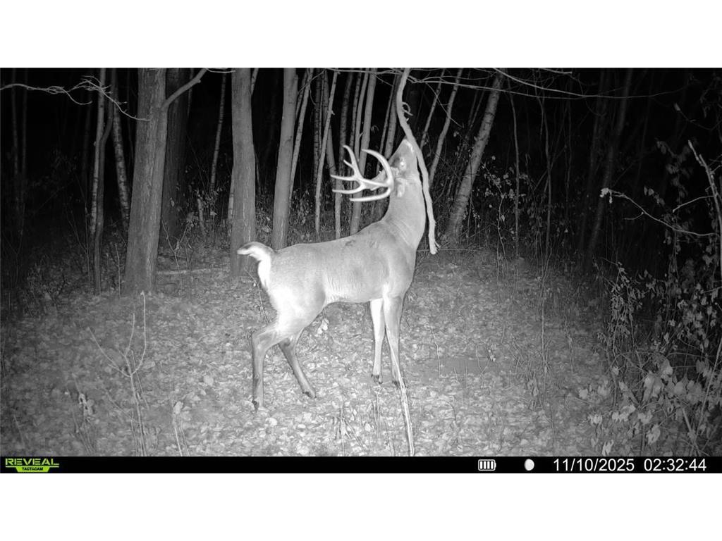 TBA 230th Street Baldwin Twp WI 54002 6826005 image16