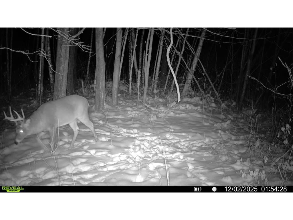 TBA 230th Street Baldwin Twp WI 54002 6826005 image17