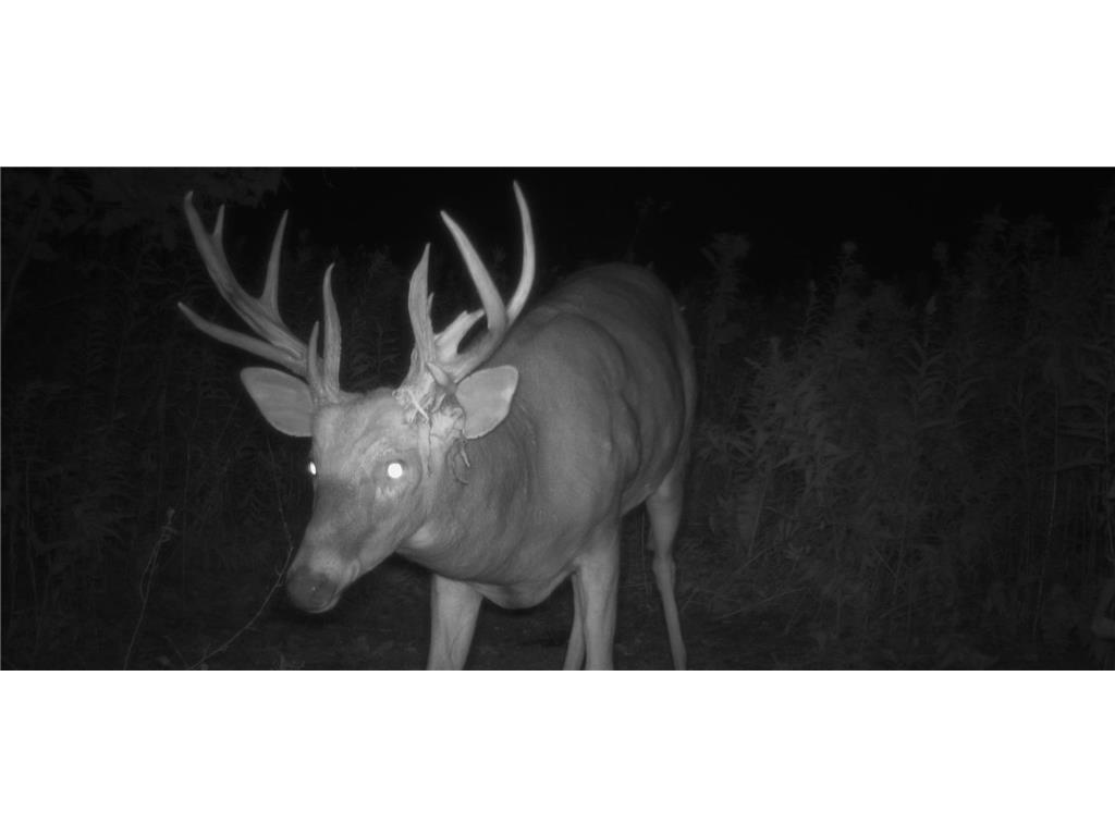 TBA 230th Street Baldwin Twp WI 54002 6826005 image18