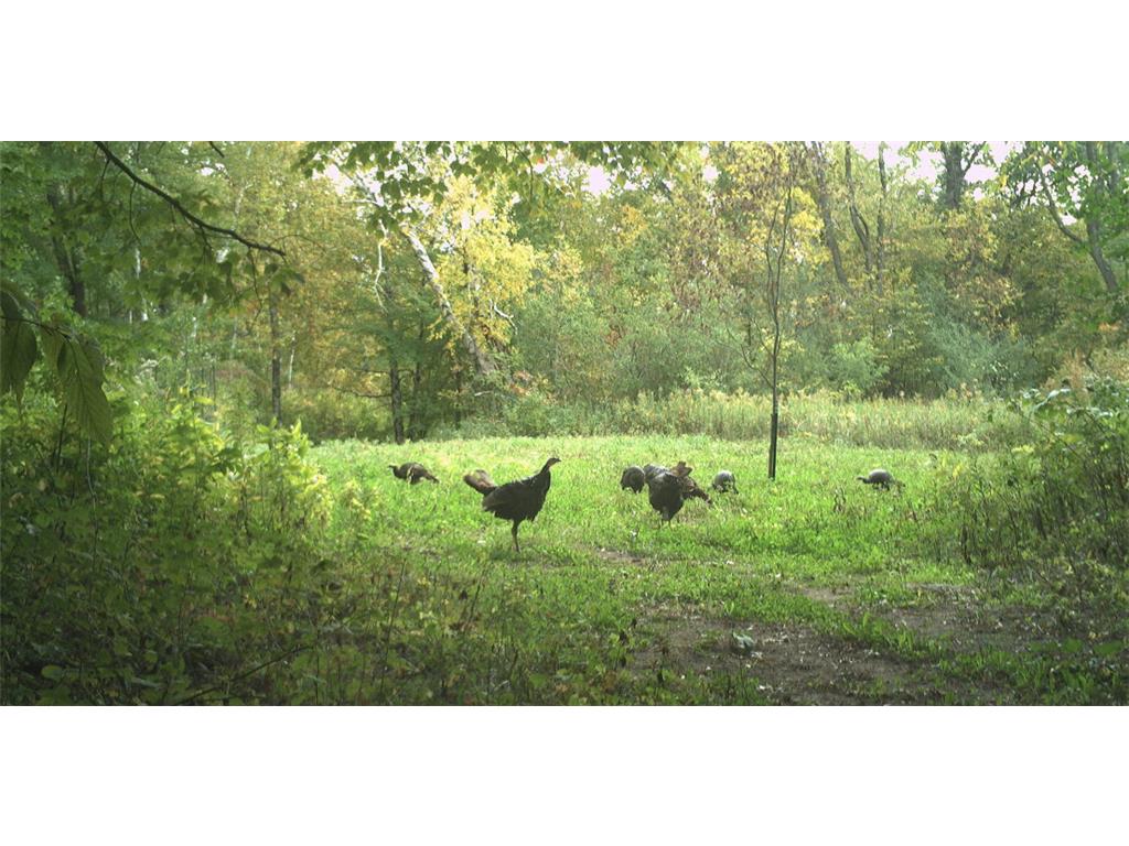 TBA 230th Street Baldwin Twp WI 54002 6826005 image19