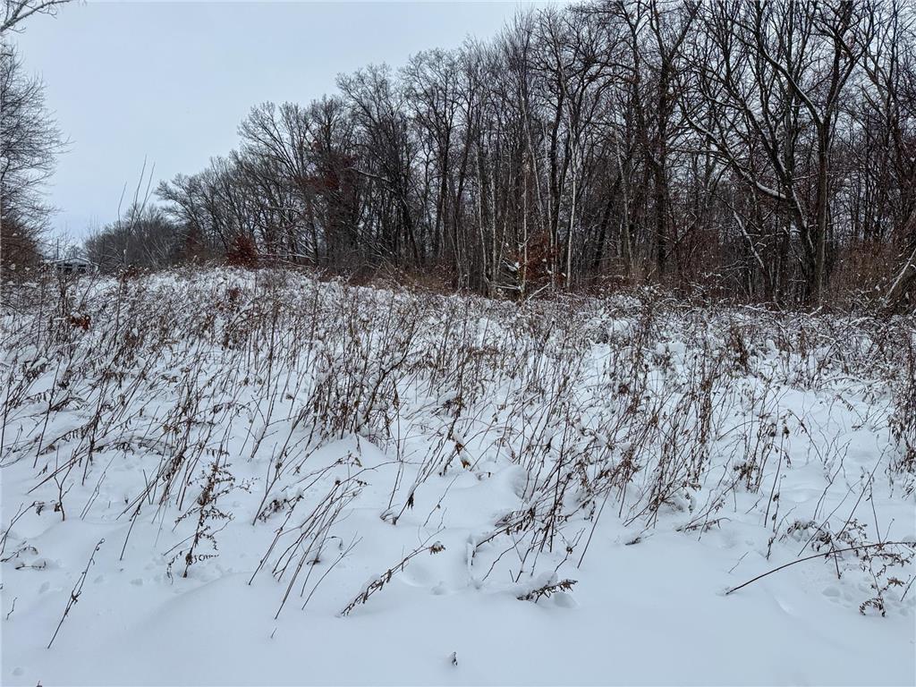 TBA 230th Street Baldwin Twp WI 54002 6826005 image25