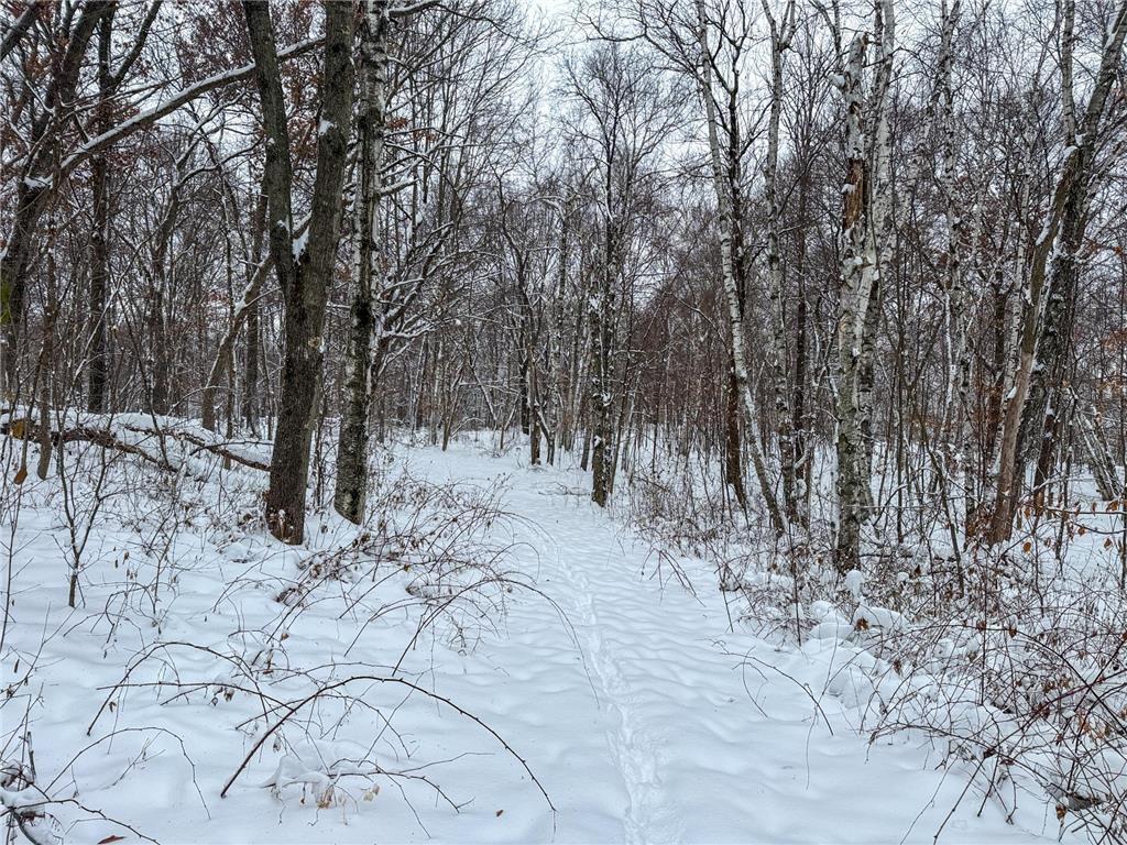 TBA 230th Street Baldwin Twp WI 54002 6826005 image26