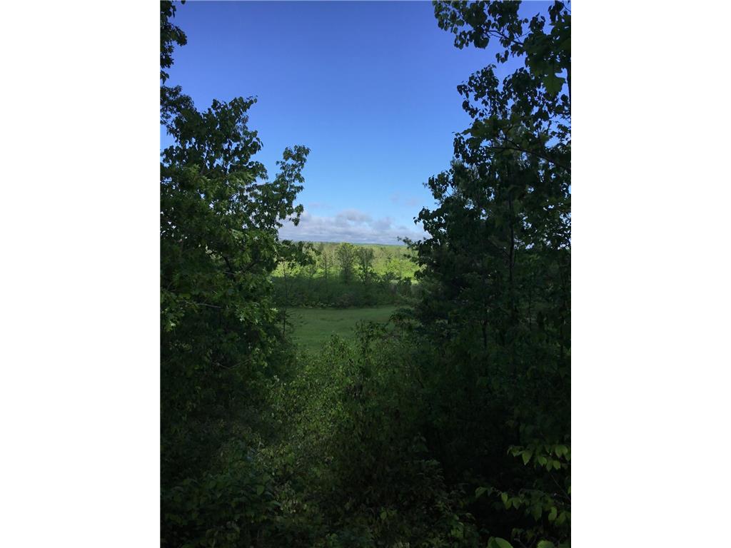 TBA 320th Street Park Rapids MN 56470 6601969 image1