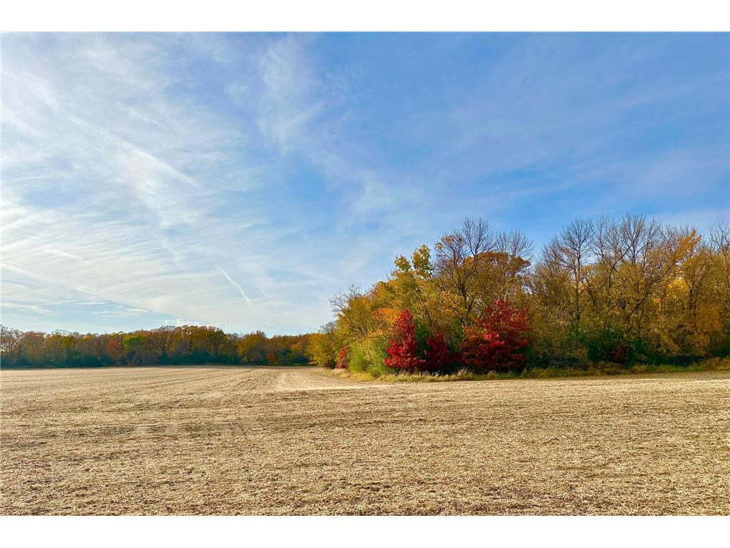 TBA 850th Avenue Glenville MN 56036 6620910 image1