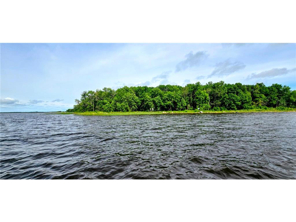TBA Lot B Lake Twp MN 56763 - Lake of The Woods 7104997 image2