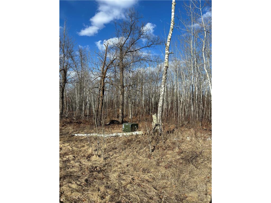 TBA MARGO Way Bemidji MN 56601 6523566 image1