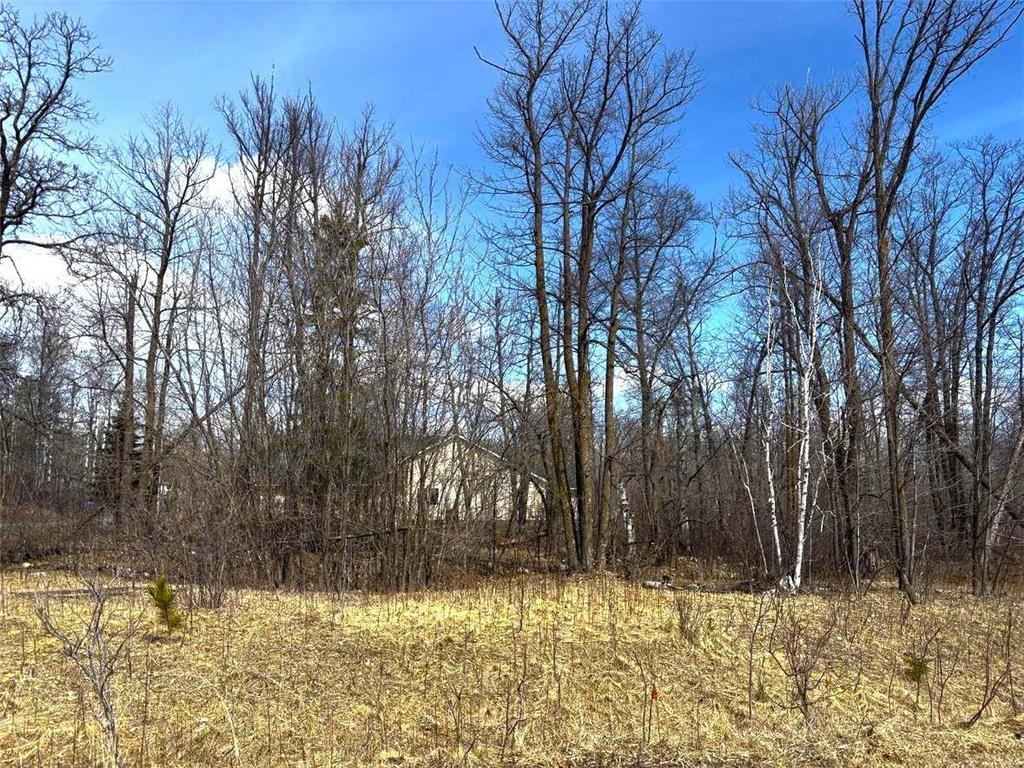 TBA NW Waters Edge Court NW Leech Lake Twp MN 56484 - Leech Lake 6704129 image2