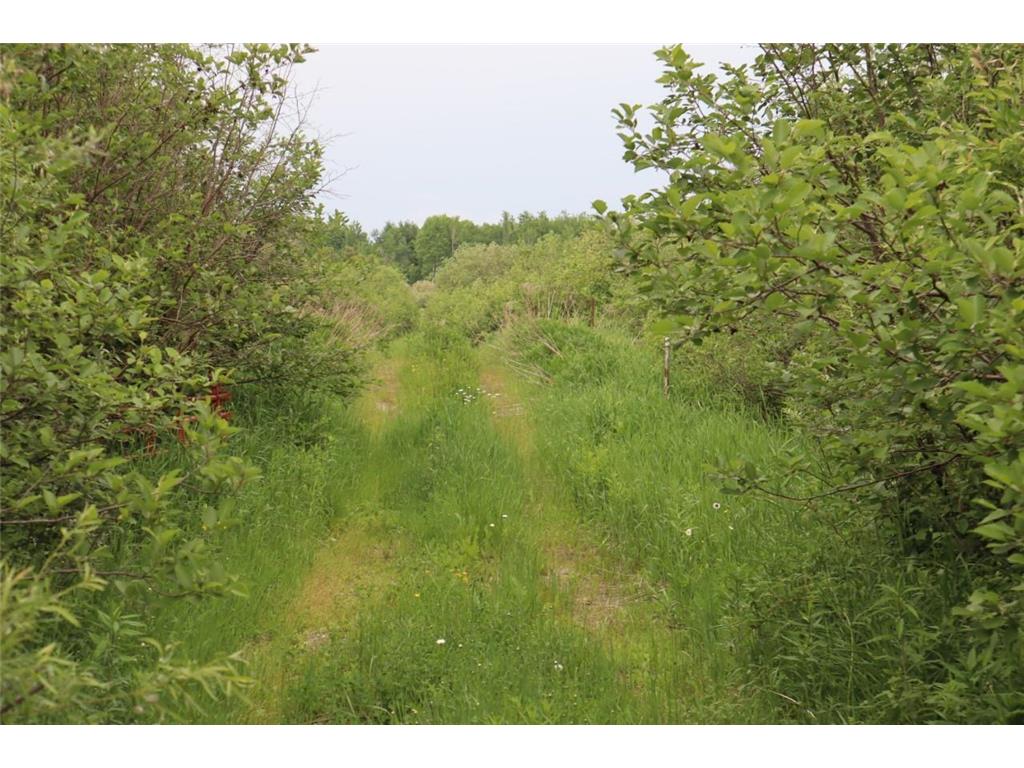 TBD.01 Creek Rd Nashwauk Twp MN 55769 6385214 image1
