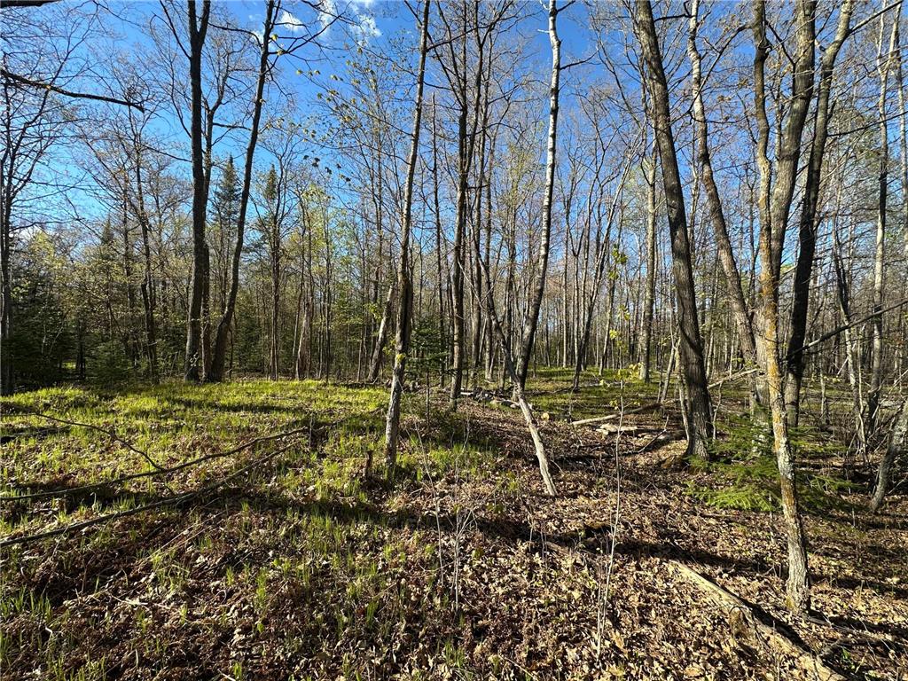 TBD #1 110th Avenue Finlayson MN 55735 7076499 image10