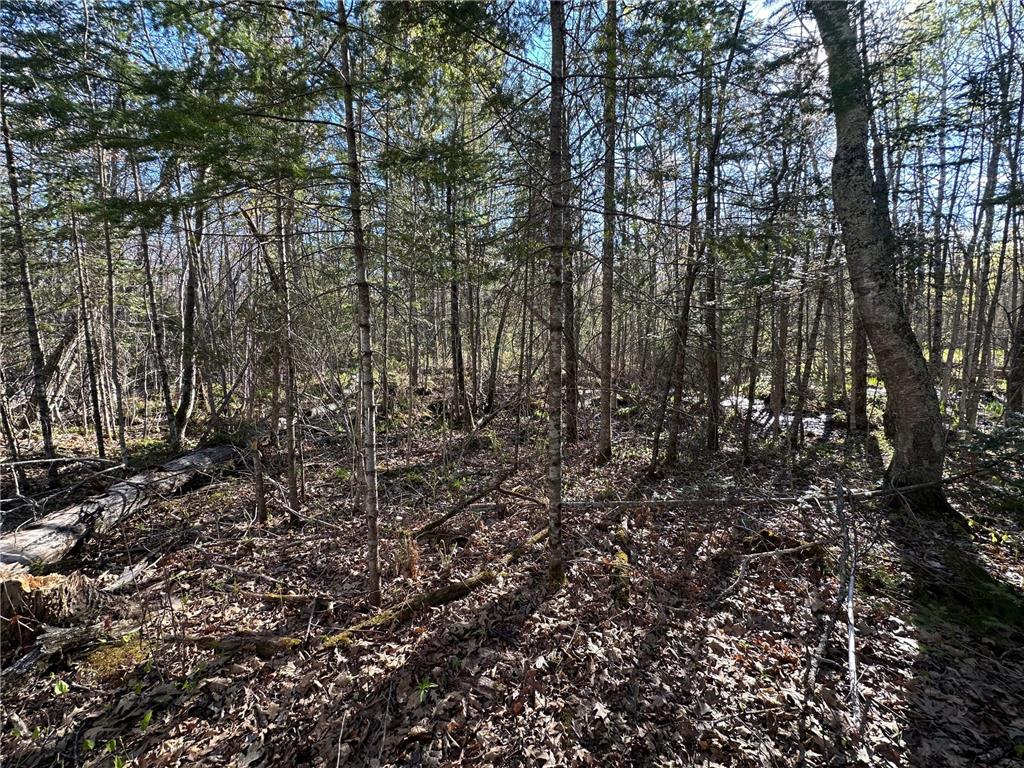 TBD #1 110th Avenue Finlayson MN 55735 7076499 image11