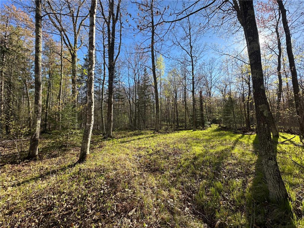 TBD #1 110th Avenue Finlayson MN 55735 7076499 image12