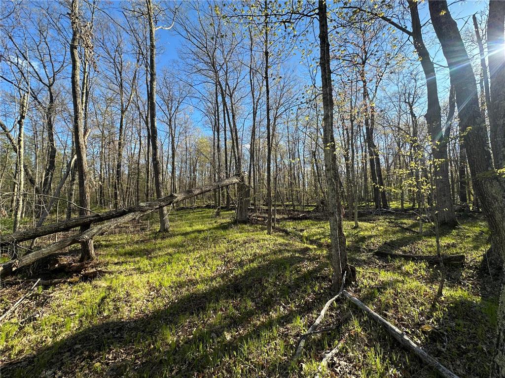 TBD #1 110th Avenue Finlayson MN 55735 7076499 image13