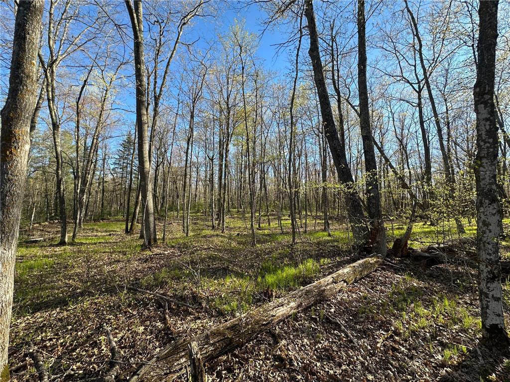 TBD #1 110th Avenue Finlayson MN 55735 7076499 image14