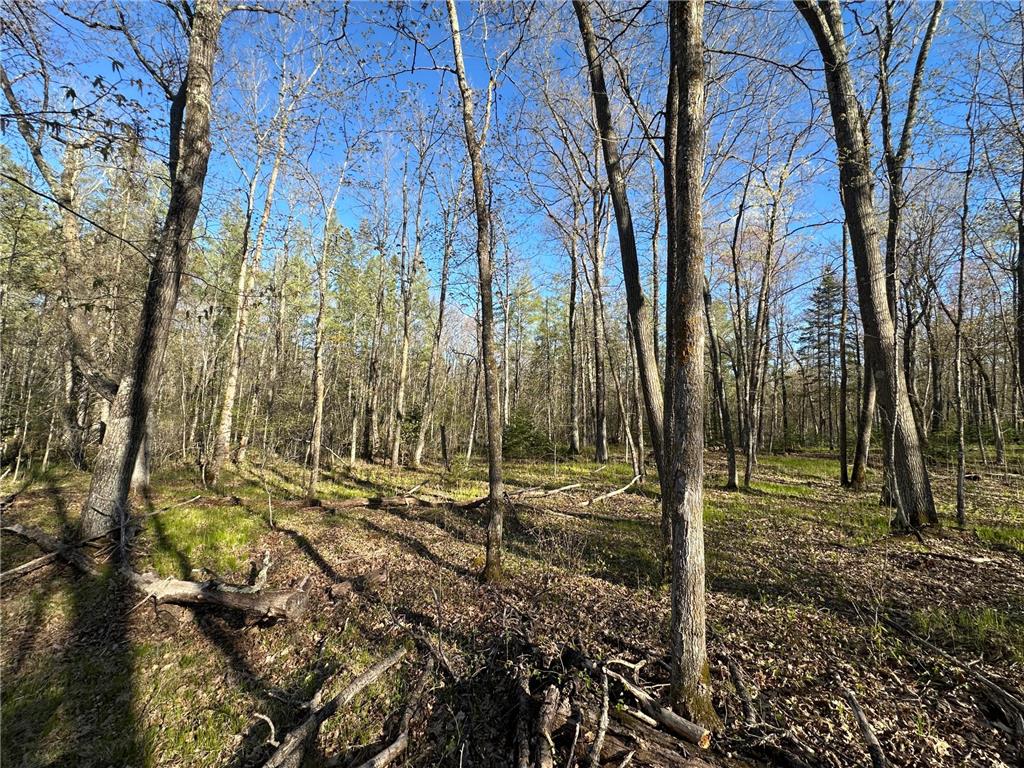 TBD #1 110th Avenue Finlayson MN 55735 7076499 image15
