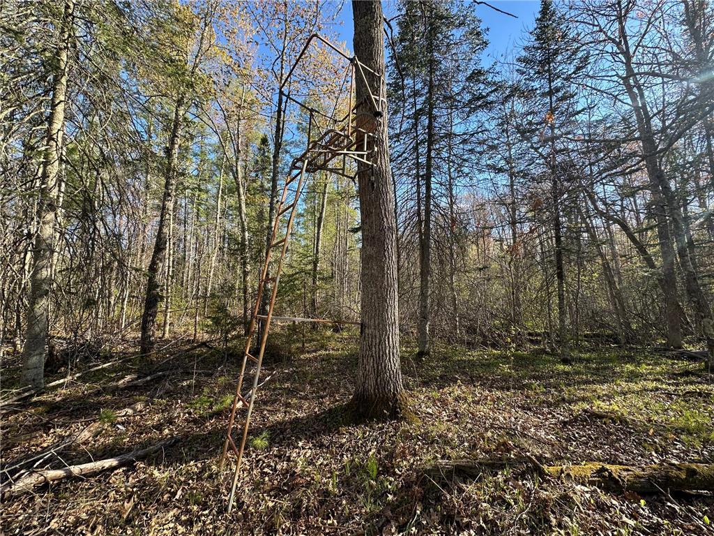 TBD #1 110th Avenue Finlayson MN 55735 7076499 image3