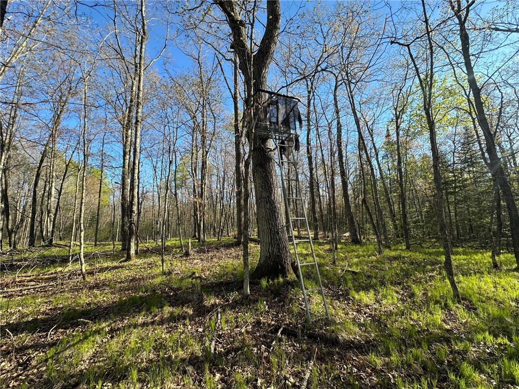 TBD #1 110th Avenue Finlayson MN 55735 7076499 image4