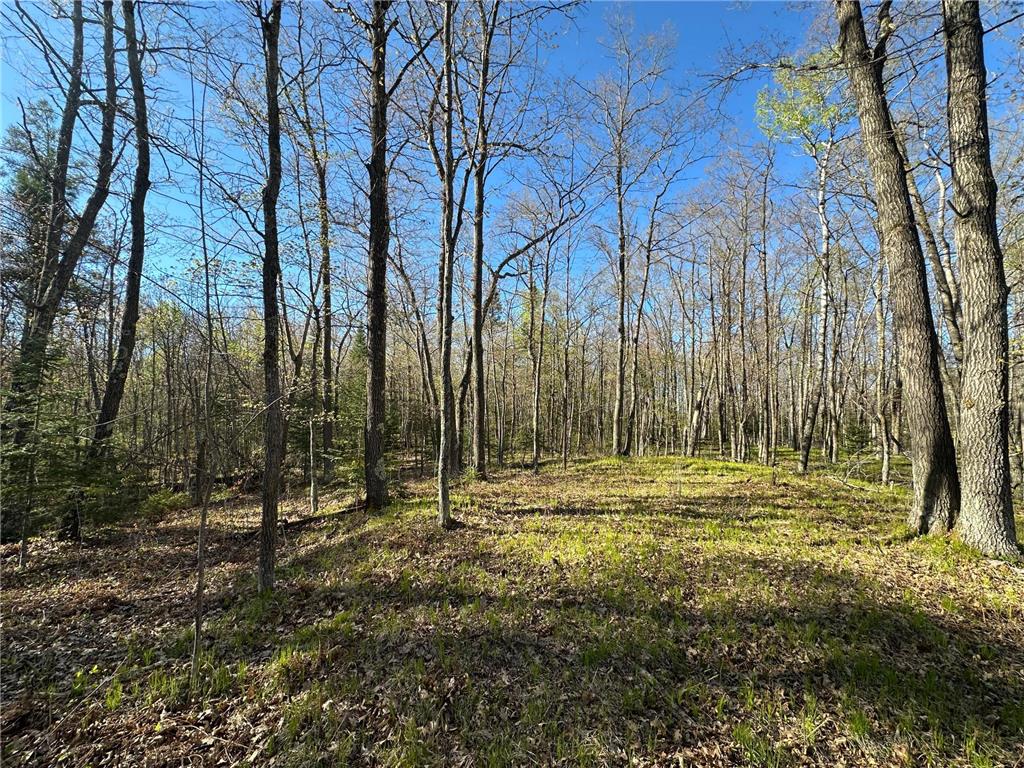 TBD #1 110th Avenue Finlayson MN 55735 7076499 image5