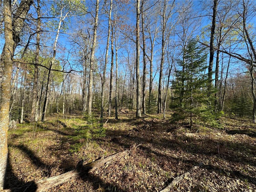 TBD #1 110th Avenue Finlayson MN 55735 7076499 image6